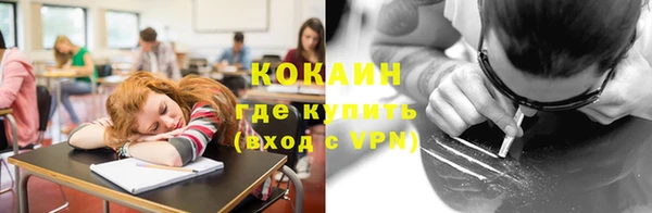 мдпв Гусев