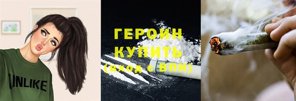 мдпв Гусев