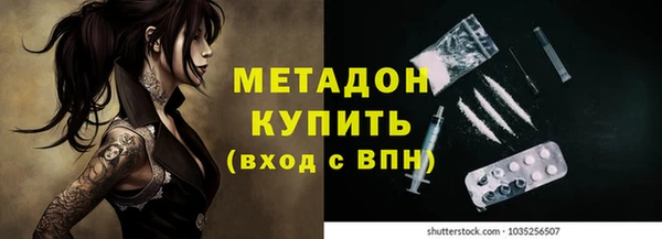 мдпв Гусев