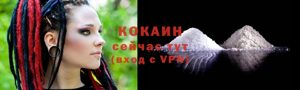 амф Дмитров
