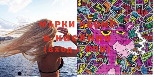 мдпв Гусев