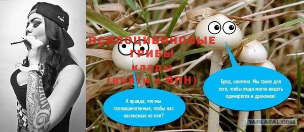 мдпв Гусев