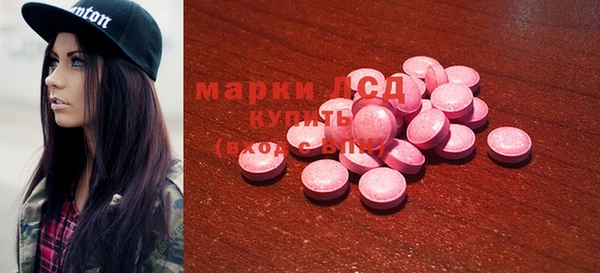 мдпв Гусев