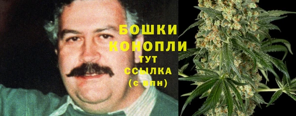 гидропоника Дмитровск