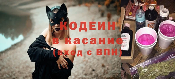мдпв Гусев