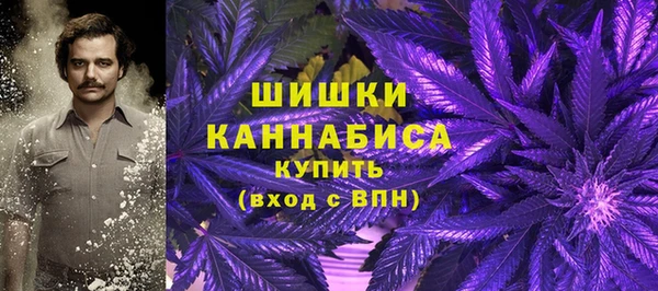 мдпв Гусев